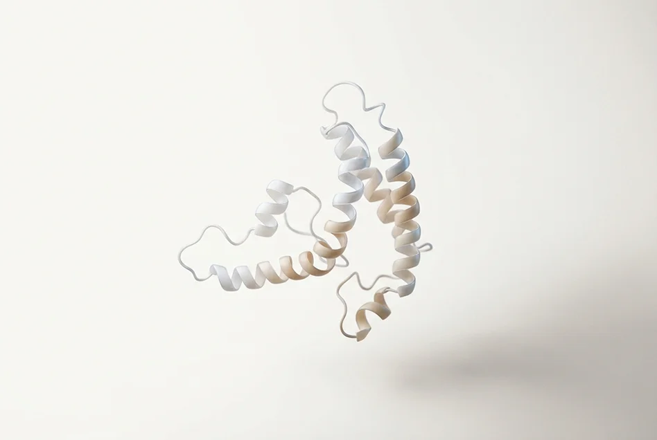 Hormone protein structure